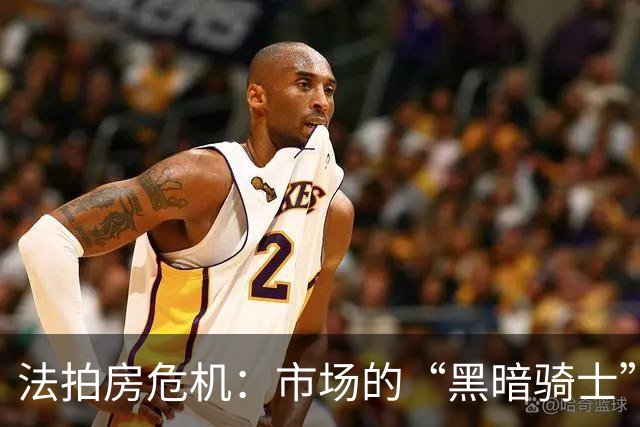 法拍房危机：市场的“黑暗骑士”来了？