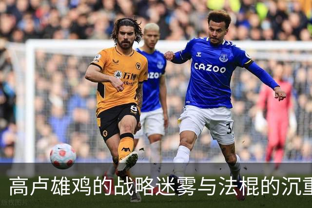 高卢雄鸡的战略迷雾与法棍的沉重